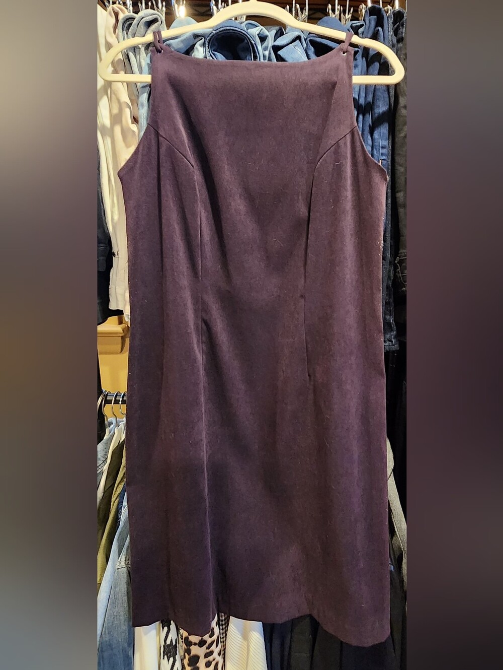 CDC Petite Plum Sheath Dress